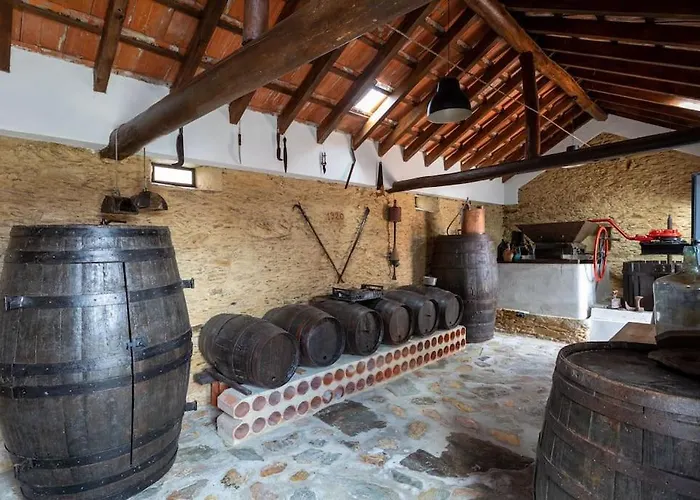 Nyaraló Casa Dos Mortagua